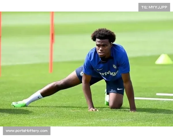 切尔西冬窗瞄准德甲中场新星,球员解约金条款将于明夏生效